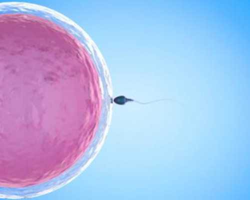 温州在三代供卵自孕 温州市人民医院试管成功经验分享： ‘英国nt看男女方法
