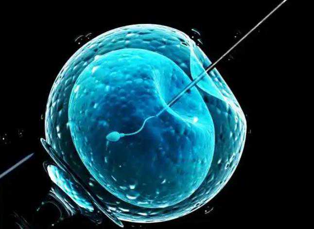 武汉咋捐卵 2024武汉正规的供卵助孕机构有哪些?同济、协和、人民、妇幼均在其