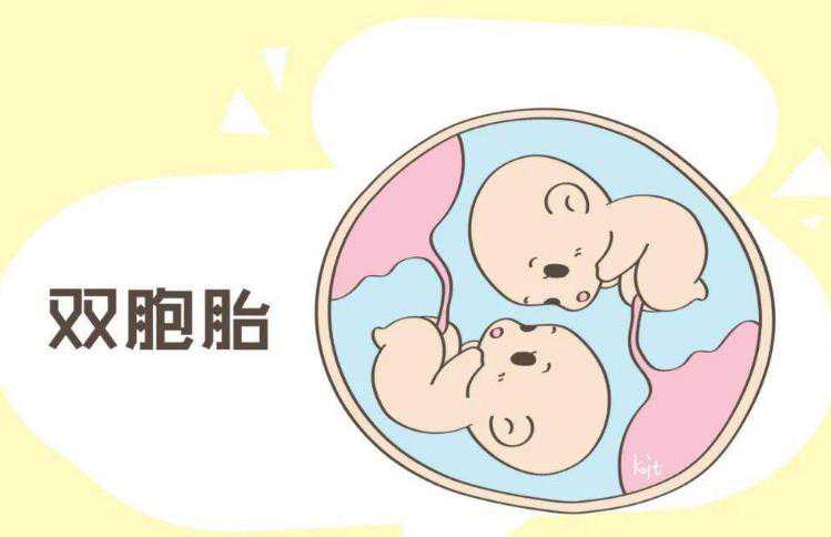 武汉捐卵渠道 影响武汉同济试管婴儿成功率的因素： ‘17周彩超看男女准确率